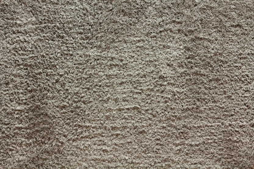 shaggy posh_mink Stanton Carpet