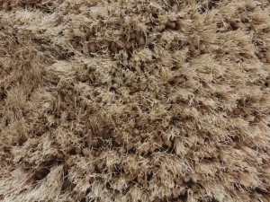 shaggy_stratus__sand Stanton Carpet