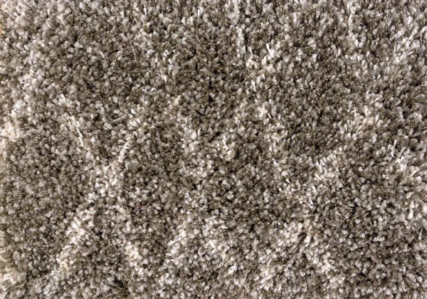 shaggykasbah_pebble Stanton Carpet