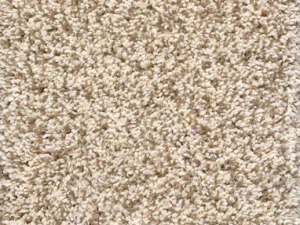 shaggyluxe- white sand Stanton Carpet