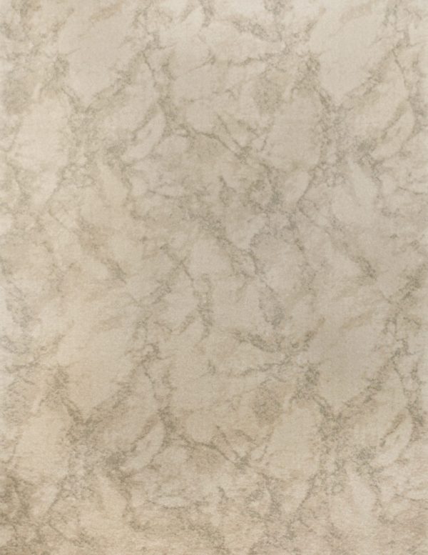 Fairmont-Carrara-Kane carpet
