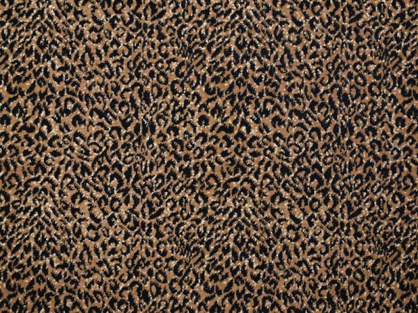 Leopard-Series-Jaguar Kane carpet
