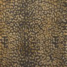 Martini-Cheetah-Exclusive-kane carpet