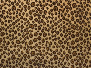 New-Leopard-Tigers-Eye-kane carpet