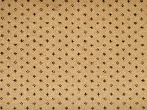 Nostalgia_NewBeginnings-kane carpet