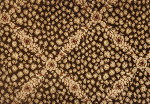 Persian-Skins-Bagira kane carpet