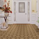 Resolve-Room-Scene kane carpet