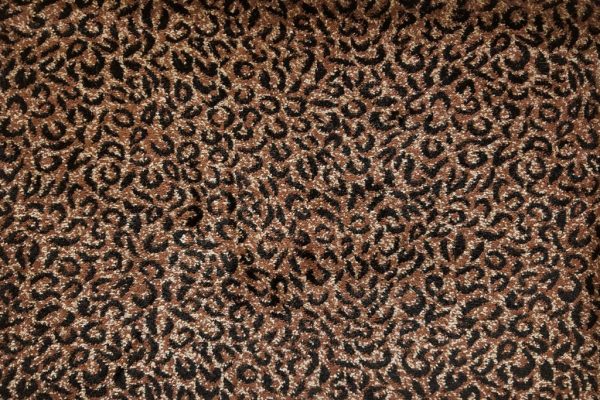 Tanzania-Eyra-Cat-kane carpet