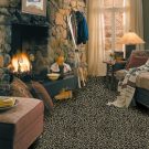 leopard-series-room Kane carpet
