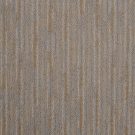 Artistic-Vision-Birch-Bark-by-Masland-Carpet