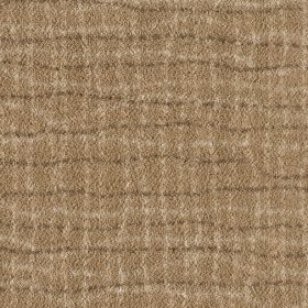 Buckskin