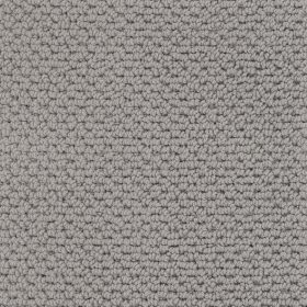Dolphin Grey