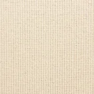 Beaucoup-Heavy-Cream-by-Masland-Carpet