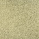Bellini-Avorio-by-Masland-Carpet