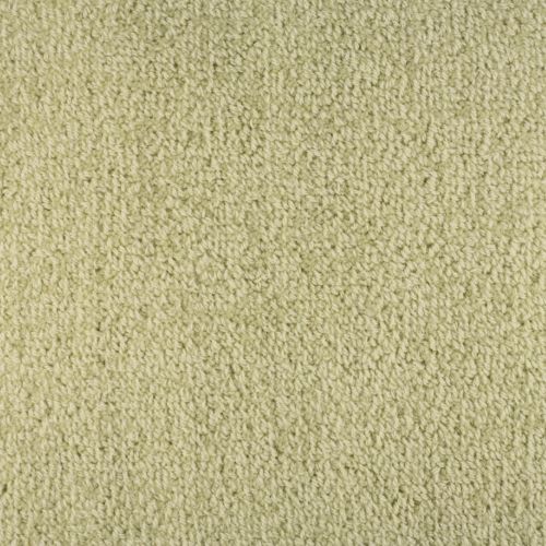Bellini-Avorio-by-Masland-Carpet