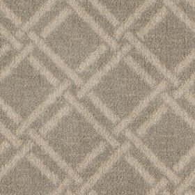 Raw Silk