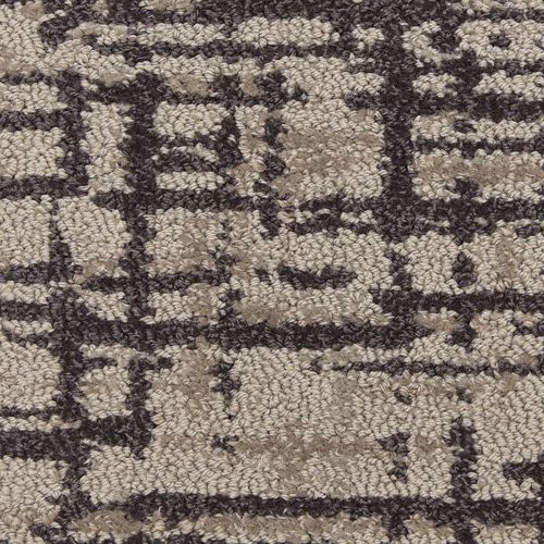 Censor-Transformation-by-Masland-Carpet