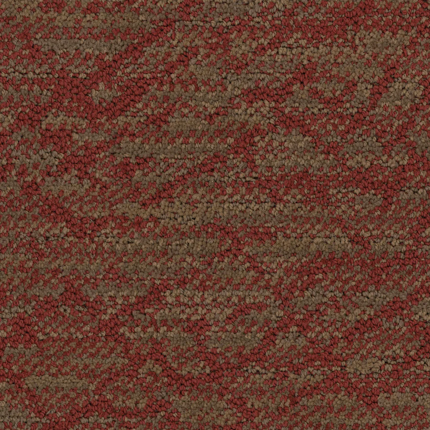 Circuitry-Canyon-by-Masland-Carpet