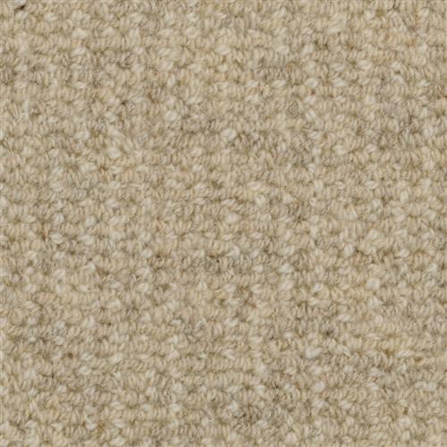 Heatherpoint-Cobblestone-by-Masland-Carpet