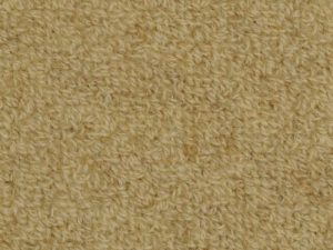 Highland-Claria-by-Masland-Carpet