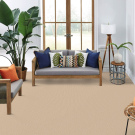 Capri by Masland Carpet