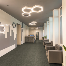 Circuitry by Masland Carpet