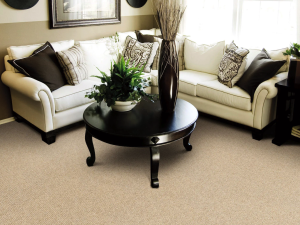 Heatherpoint by Masland Carpet