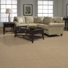 Beacon Hill by Masland Carpet