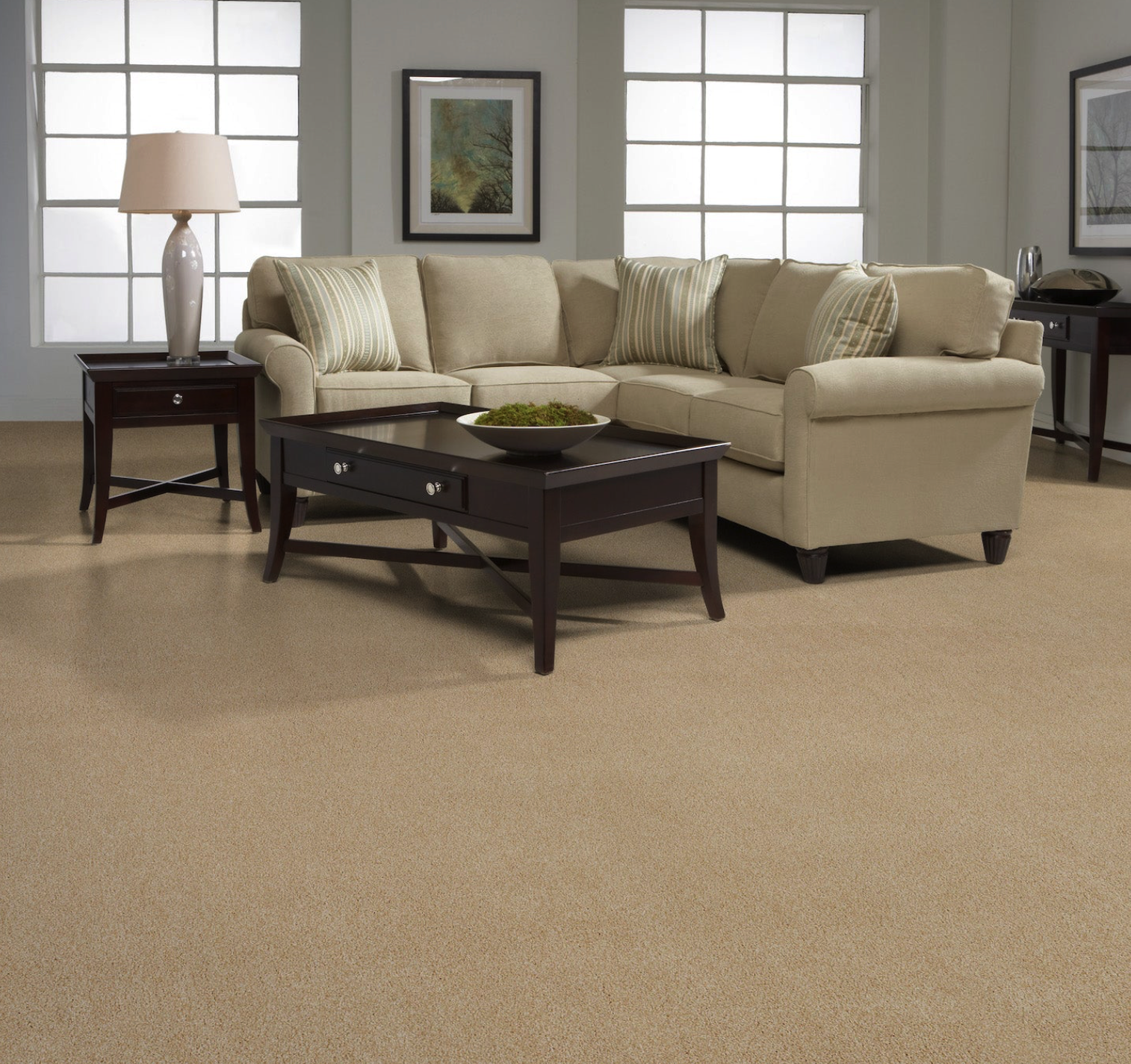 Beacon Hill by Masland Carpet
