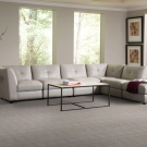 Meandros by Masland Carpet