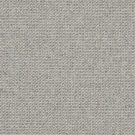 Perception-Ash-by-Masland-Carpet