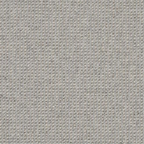 Perception-Ash-by-Masland-Carpet