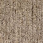 Sundara-Grounded-by-Masland-Carpet