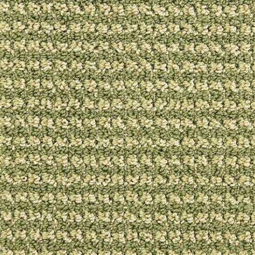 Tango-Aerial-by-Masland-Carpet