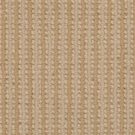 Trilogy-Sandstone-by-Masland-Carpet
