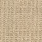 Winslow-Casa-Grande-by-Masland-Carpet