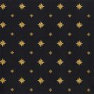 walk_of_fame_black