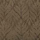 Pinewood-dramatic features-godfrey