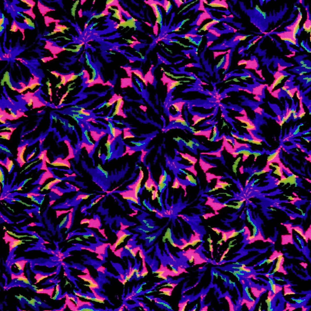 Flaming-Floral-Fluorescent-Fluorescent-Joy-Carpets