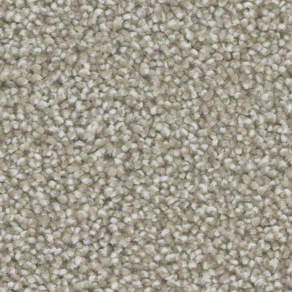 Hazy-aura-mannington