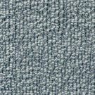 Lucania -true north-godfrey