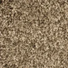 Paragon 07 Coastal Fog-mannington