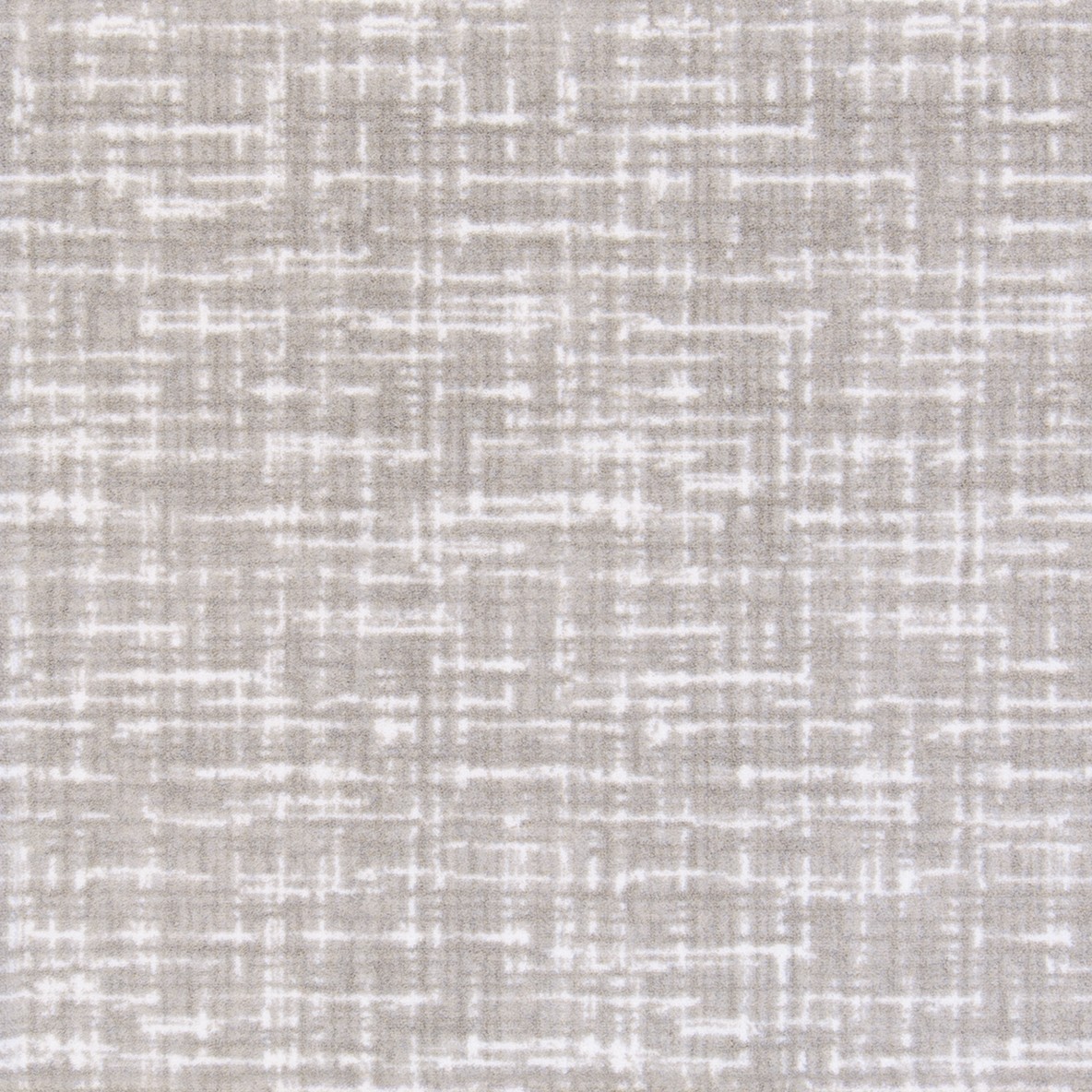Past-Tense-01-Dove-Joy-Carpets