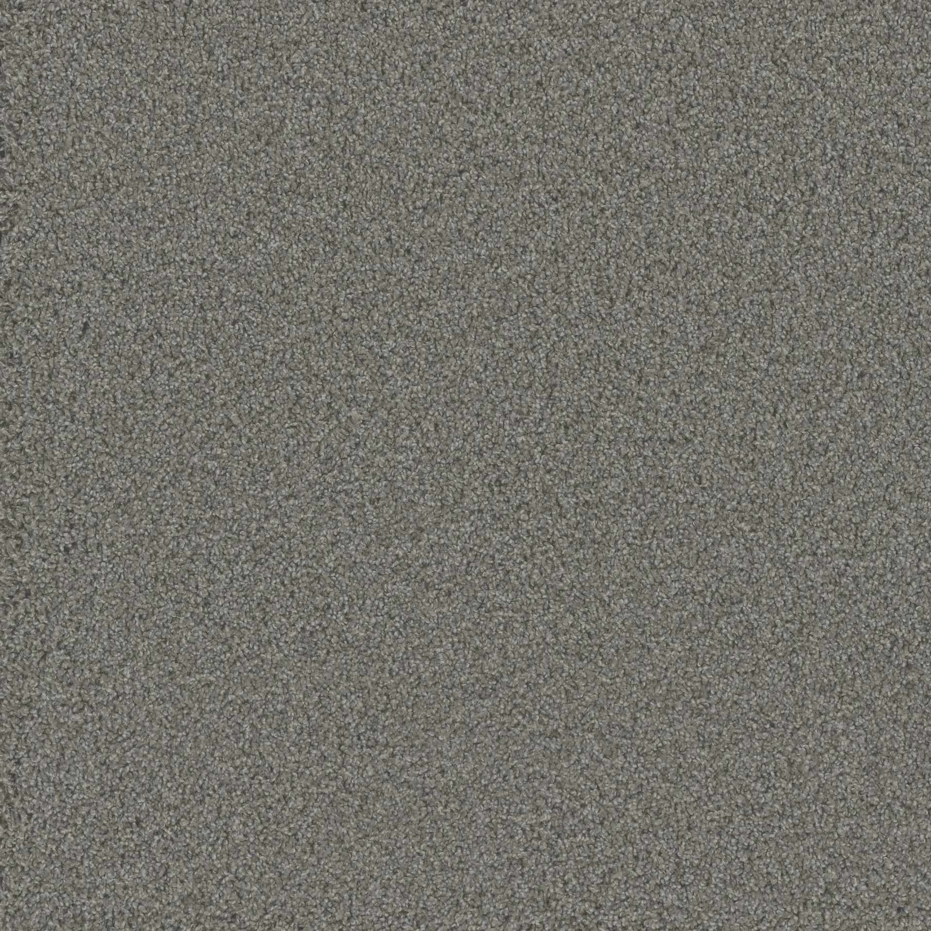 Posh-bougie-mannington