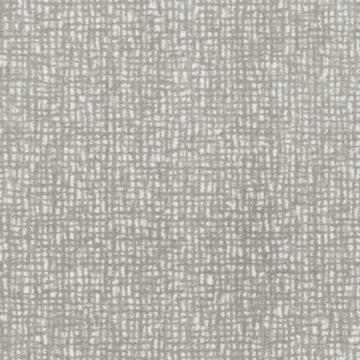 Transitions-01-Dove-Joy-Carpets