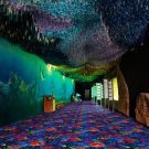 Under-the-Sea-Fluorescent-Joy-Carpets