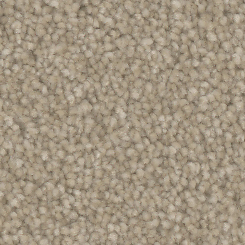 oasis-platinum_sand-dune_mannington