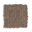 Caffine-sneak peek-anderson