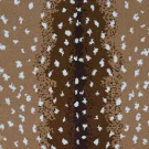 Natural-Antelope AX-couristan