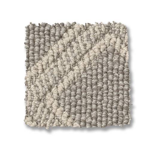 Oyster Shell-scout-anderson